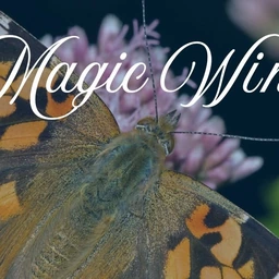 Magic Wings Butterfly Conservatory